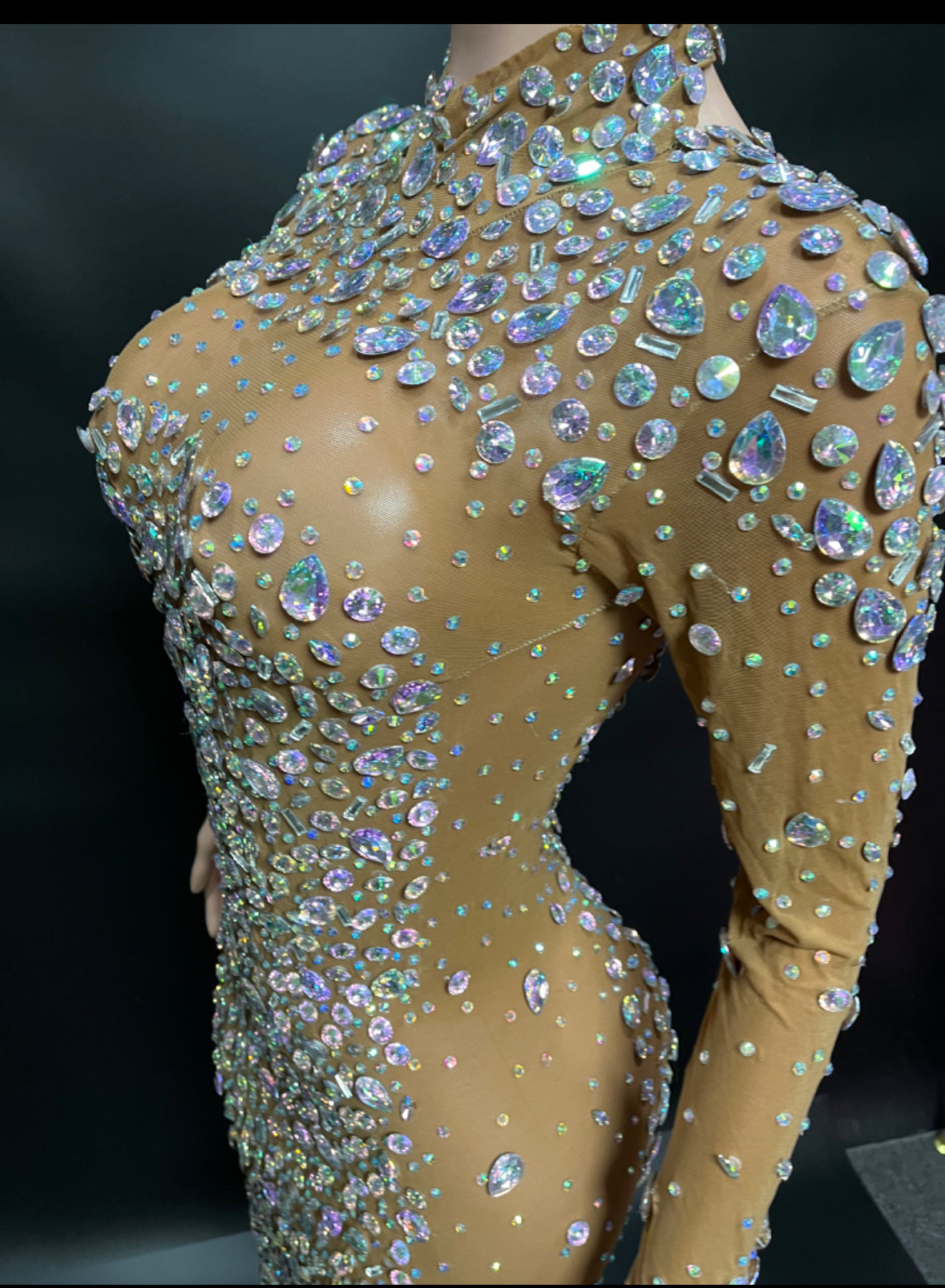Iridescent Crystal Rhinestone LongSleeve High Neck Bling Gown