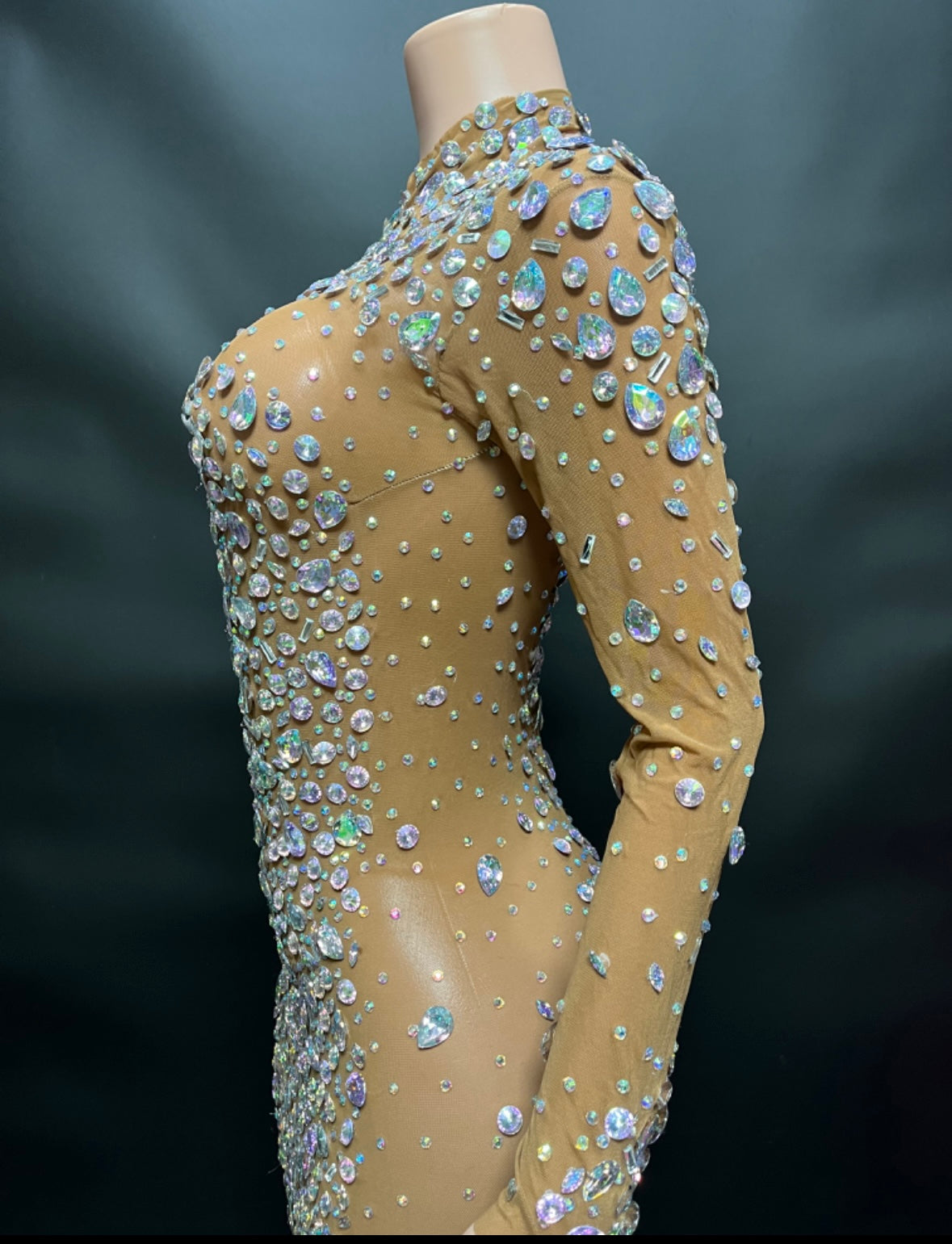 Iridescent Crystal Rhinestone LongSleeve High Neck Bling Gown